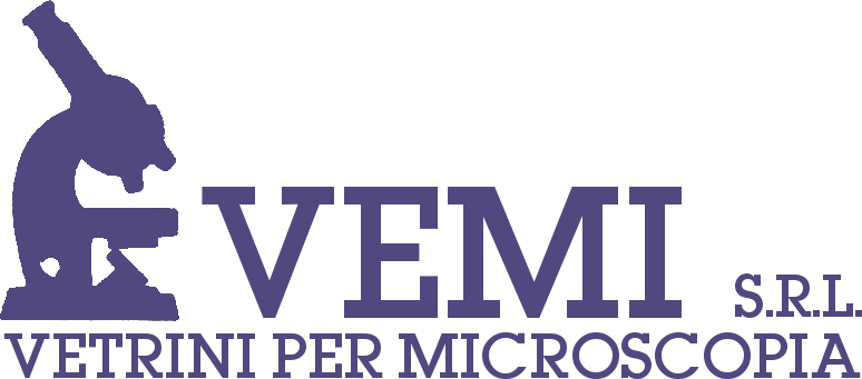 Vemi Srl
